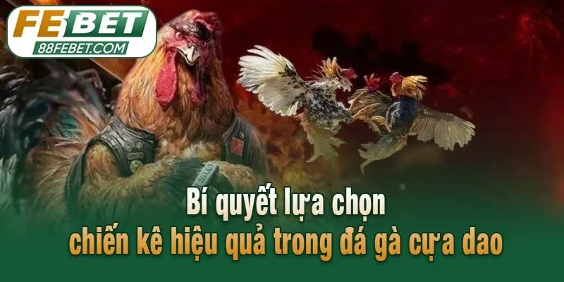 Bí quyết lựa chọn chiến kê hiệu quả trong đá gà cựa dao