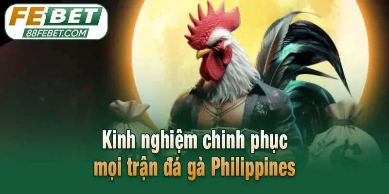 Kinh nghiệm chinh phục mọi trận đá gà Philippines