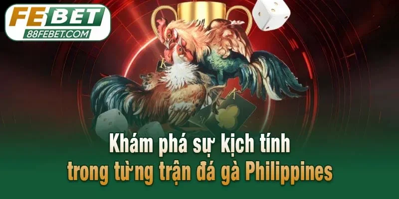 Khám phá sự kịch tính trong từng trận đá gà Philippines