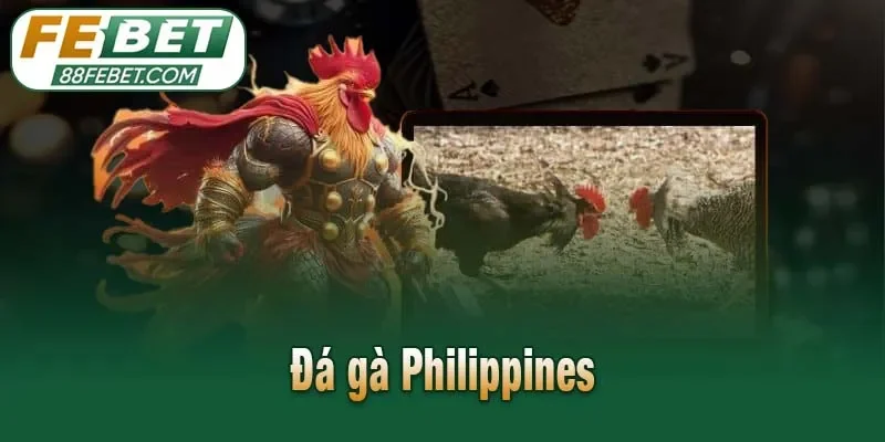 Đá gà Philippines